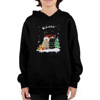 Puli Reindeer Xmas Light Christmas Ornaments Xmas Dog Youth Hoodie | Mazezy