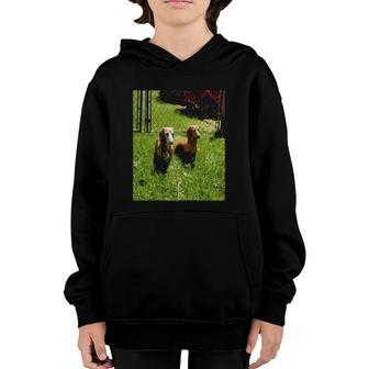 Womens Two Dachshund Pet Lover Youth Hoodie