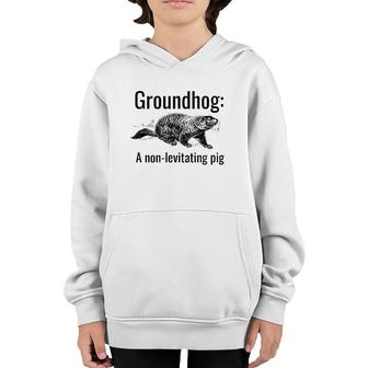 Groundhog A Non Levitating Pig Funny Pun English Teacher Youth Hoodie | Mazezy