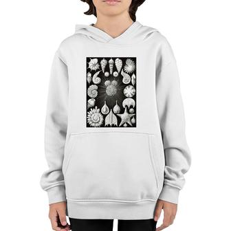 Sea Shells Biology Scientific Drawing Illustration Haeckel Youth Hoodie | Mazezy