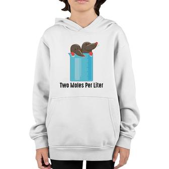 Two Moles Per Liter Chemistry Enthusiasts Gag Gift Youth Hoodie | Mazezy