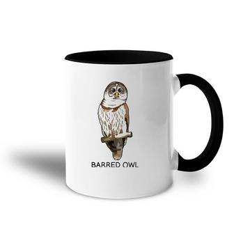 Barred Owl Bird Lover Accent Mug | Mazezy