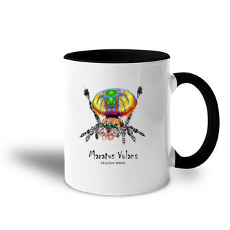 Peacock Spider Maratus Volans Lovers Gift Accent Mug | Mazezy