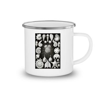 Sea Shells Biology Scientific Drawing Illustration Haeckel Camping Mug | Mazezy