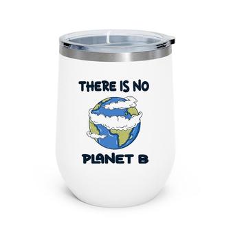 Global Warming There Is No Planet B Climate Change Earth Wine Tumbler | Mazezy