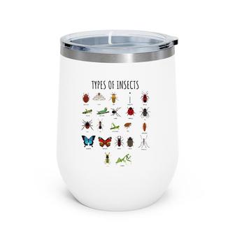Kids Types Of Insects Bug Identification Science Tee Wine Tumbler | Mazezy