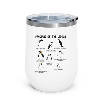 Kids Youth Boys Penguin Themed Gifts Types Of Penguins Wine Tumbler | Mazezy