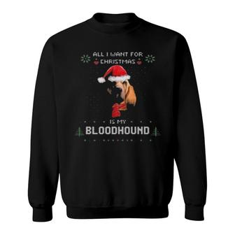 All I Want For Christmas Is My Bloodhound Ugly Sweat Sweatshirt | Mazezy