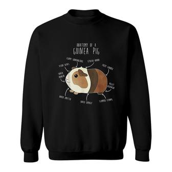 Anatomy Of A Guinea Pig Funny Pet Animal Sweatshirt | Mazezy