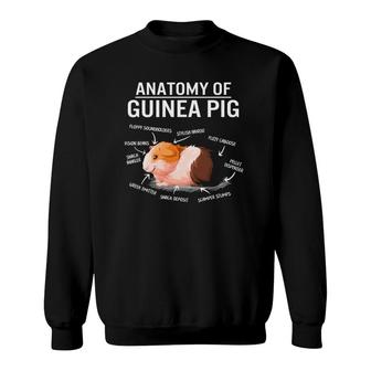 Anatomy Of Guinea Pig Cute Furry Potato Mom Cavy Mama Mother Sweatshirt | Mazezy