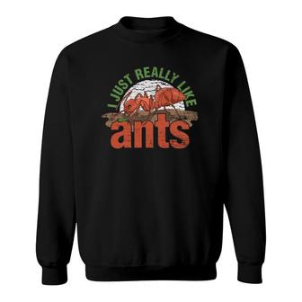 Ant Keeper Gift Idea Entomology Lover Ant Sweatshirt | Mazezy