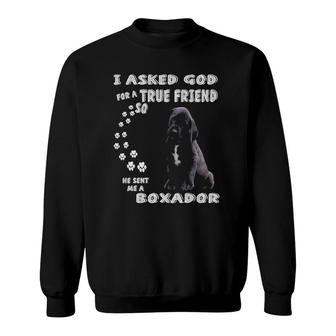 Black Boxerlab Dog Mom Laboxer Dad Costume Cute Boxador Sweatshirt | Mazezy