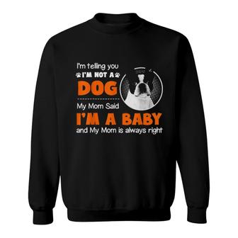 Boston Terrier Dog Mom Telling You I'm Not A Dog I'm A Baby Sweatshirt | Mazezy