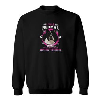 Boston Terrier I Was Normal Sweatshirt | Mazezy