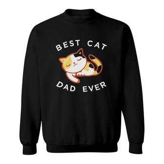 Calico Cat Dad Best Kitty Father Ever Sweatshirt | Mazezy
