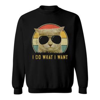 Cat For Girls Boys I Do What I Want Cat Sweatshirt | Mazezy