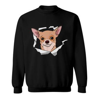 Chihuahua Hund Durchbruch Netter Hund Tierliebhaber Sweatshirt | Mazezy