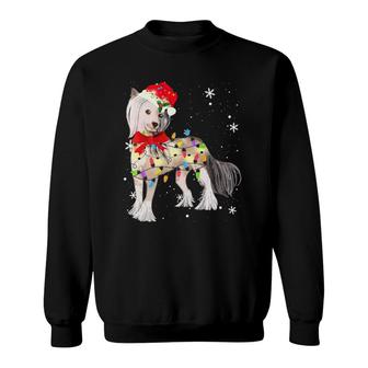 Chinese Crested Dog Christmas Light Xmas Gifts Sweatshirt | Mazezy