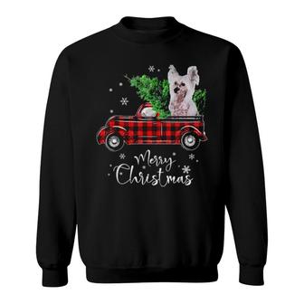 Chinese Crested Dog Ride Red Truck Christmas Dog Sweatshirt | Mazezy