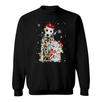 Cute Dalmatian Santa Hat Christmas Light Xmas Sweatshirt | Mazezy