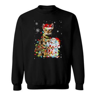 Cute Savannah Santa Hat Christmas Light Xmas Sweatshirt | Mazezy