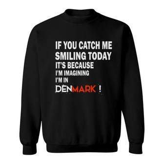 Denmark Imagining Sweatshirt | Mazezy