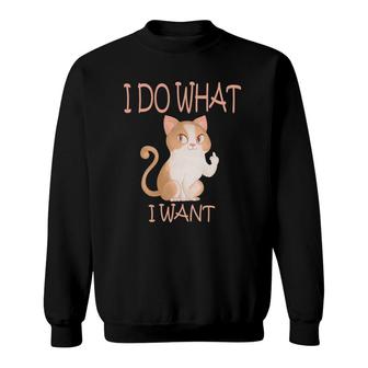 Funny Cat Humor I Do What I Want With My Cat Sweatshirt | Mazezy