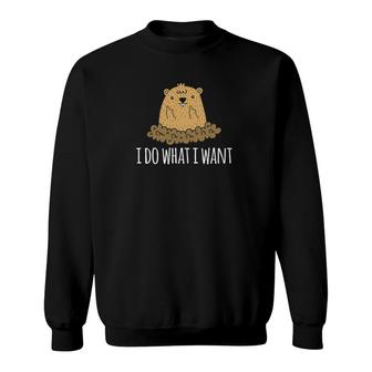 Funny Groundhog Day I Do What I Want Groundhog Gift Sweatshirt | Mazezy