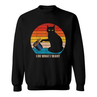 Funny Retro Vintage Cat I Do What I Want Cat Lover Mothers Day Sweatshirt - Thegiftio UK