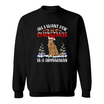 Funny Santa Hat All I Want For Christmas Is A Abyssinian Cat Sweatshirt | Mazezy