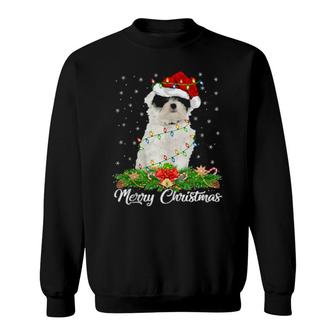 Havanese Dog Matching Santa Hat Havanese Christmas Sweatshirt | Mazezy