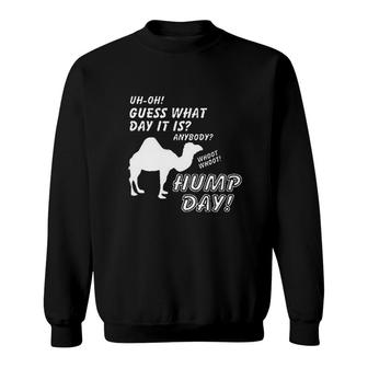 Hump Day Camel Funny Statement Sweatshirt | Mazezy