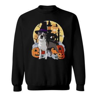 I Love Boston Terrier Halloween Sweatshirt | Mazezy