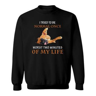 I Tried To Be Normal Once Worst Two Minutes Boxer Dog Sweatshirt | Mazezy