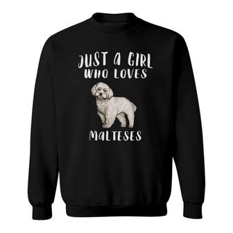 Im Just A Girl Who Loves Maltese Dog Lover Sweatshirt | Mazezy
