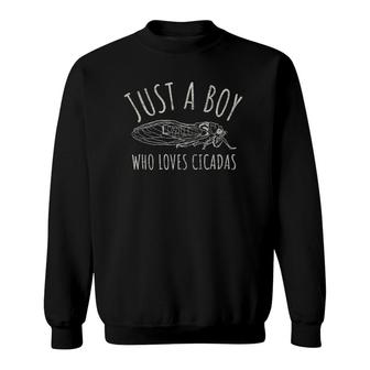 Just A Boy Who Loves Cicadas For Kids Who Love Bugs Sweatshirt | Mazezy