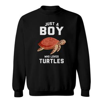 Just A Boy Who Loves Turtles Turtle Sweatshirt | Mazezy