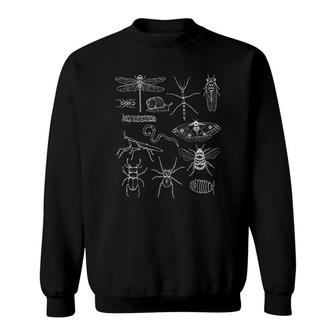 Minibeasts With Insects Sweatshirt | Mazezy