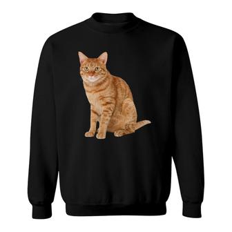 Orange Tabby Cat Lovers Gift Sweatshirt | Mazezy AU