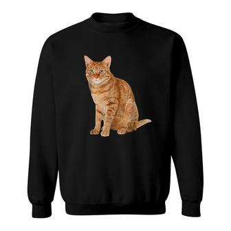 Orange Tabby Cat Sweatshirt | Mazezy
