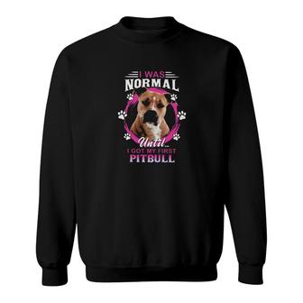 Pitbull I Was Normal Sweatshirt | Mazezy