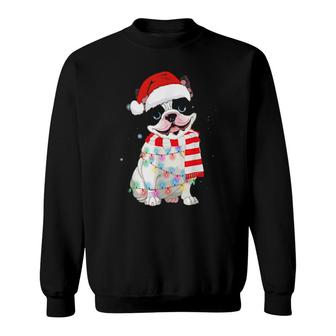 Pug Dog Christmas Light Sweatshirt | Mazezy