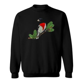 Rose-Breasted Grosbeak On Branch Birder & Bird Lover Gift Sweatshirt | Mazezy