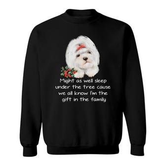 Shih Tzu Might As Well Sleep Under The Tree Cause We All Know I'm The Gift In The Family Sweater Sweatshirt | Mazezy