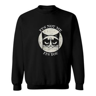 Siamese Cat Grumpy Funny Expression Its Not Me Its You Sweatshirt - Thegiftio