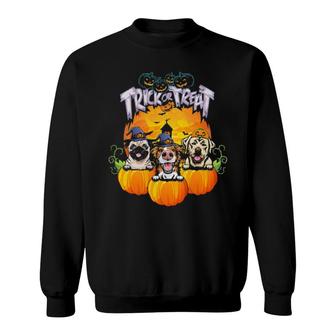 Trick Or Treat Dogs In Pumpkin Halloween Sweatshirt | Mazezy