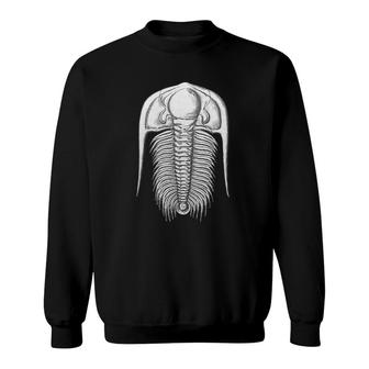 Trilobite Fossil Arthropods Extinct Marine Animals Gift Sweatshirt | Mazezy