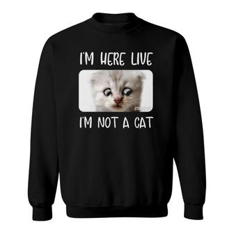 Womens I'm Here Live, I'm Not A Cat Zoom Call Meme Humor Funny Sweatshirt | Mazezy