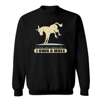 You Can't Scare Me I Own A Mule Equestrian Sweatshirt | Mazezy