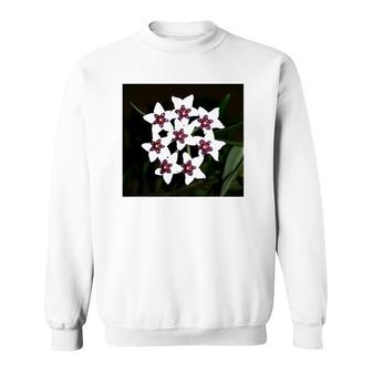 Funny Hoya Flowers Succulent Gardening Plant Sweatshirt